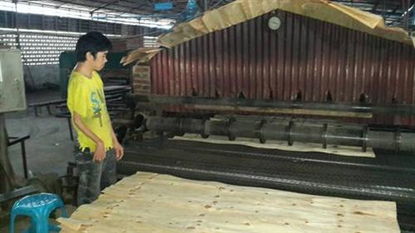 省残疾人劳动就业服务中心深入龙陵县繁昌木材加工厂调研人工装卸服务助力残疾人集中就业