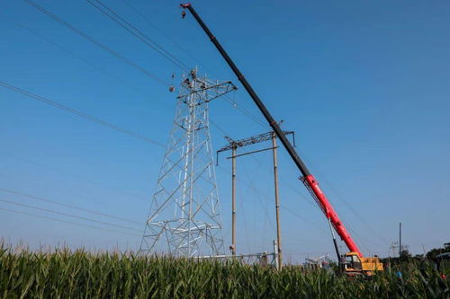 安阳供电公司 倾情服务重点民生工程，以人工装卸服务答好灾后重建电力答卷